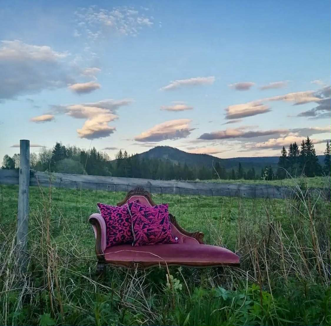 Peak Stickad Linnekudde Rosa & Svart